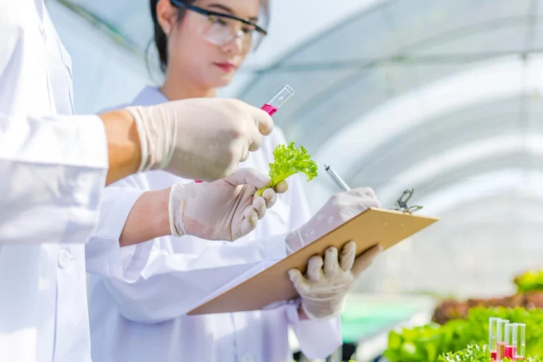 sertifikasi HACCP di semarang