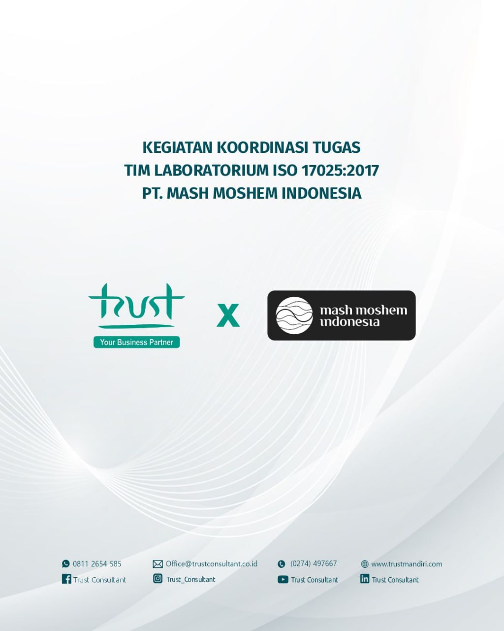 trust-consultant